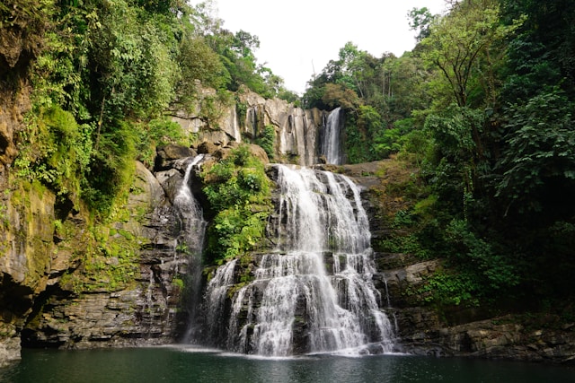 Los Quetzales National Park Costa Rica Info