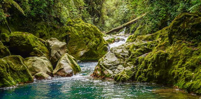 Piedras Blancas National Park - Costa Rica Info